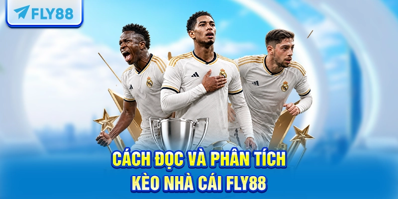 Cách đọc và phân tích kèo nhà cái FLY88
